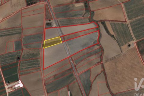 Terra a Peniche, Leiria, Peniche - € 30.000 | Ref: 736421 - foto 3