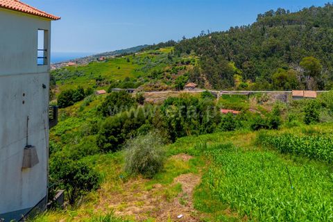 Helårsgrund i Calheta, Madeira, Calheta - € 115.000 | Ref: 081250247 - foto 3