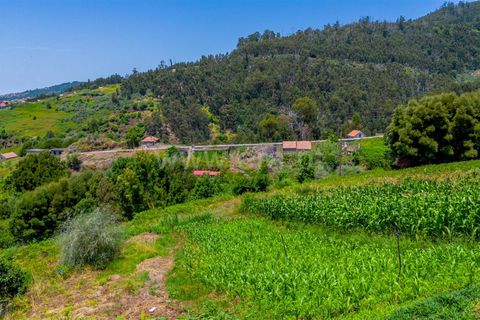 Helårsgrund i Calheta, Madeira, Calheta - € 115.000 | Ref: 081250247 - foto 4