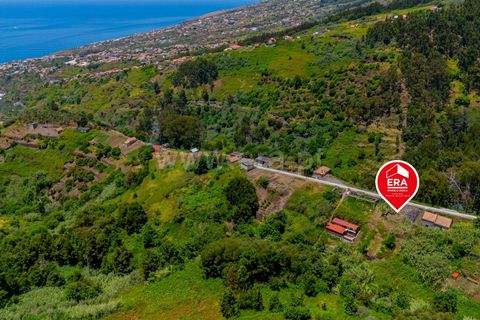 Helårsgrund i Calheta, Madeira, Calheta - € 45.000 | Ref: 081250248 - foto 4