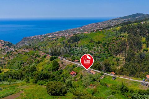 Helårsgrund i Calheta, Madeira, Calheta - € 45.000 | Ref: 081250248 - foto 5