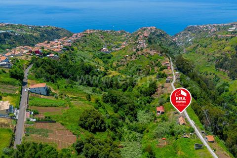 Helårsgrund i Calheta, Madeira, Calheta - € 45.000 | Ref: 081250248 - foto 7