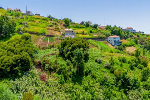 Helårsgrund i Calheta, Madeira, Calheta - € 45.000 | Ref: 081250248 - foto 8