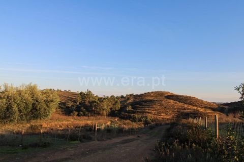 Landejendom i Ourique, Beja, Ourique - € 1.550.000 | Ref: 402250006 - foto 14