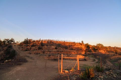 Landejendom i Ourique, Beja, Ourique - € 1.550.000 | Ref: 402250006 - foto 15
