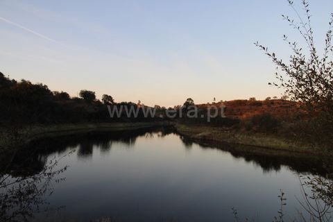 Landejendom i Ourique, Beja, Ourique - € 1.550.000 | Ref: 402250006 - foto 21