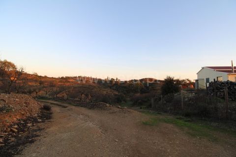 Landejendom i Ourique, Beja, Ourique - € 1.550.000 | Ref: 402250006 - foto 27