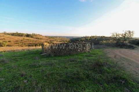 Landejendom i Ourique, Beja, Ourique - € 1.550.000 | Ref: 402250006 - foto 29