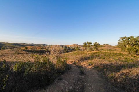 Landejendom i Ourique, Beja, Ourique - € 1.550.000 | Ref: 402250006 - foto 31