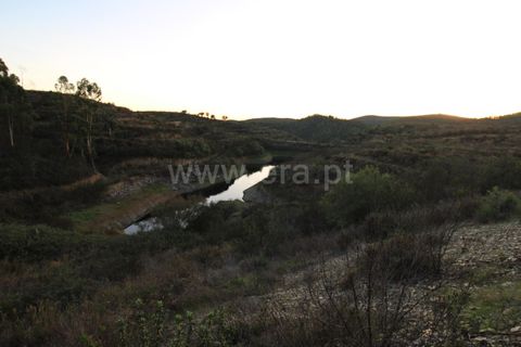 Landejendom i Ourique, Beja, Ourique - € 1.550.000 | Ref: 402250006 - foto 32