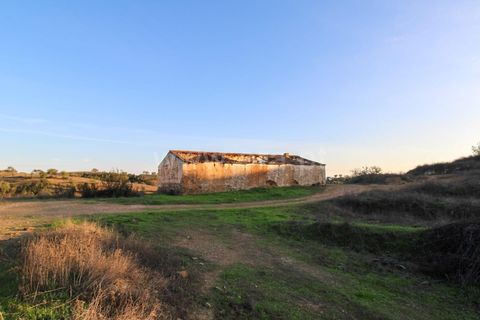Landejendom i Ourique, Beja, Ourique - € 1.550.000 | Ref: 402250006 - foto 34