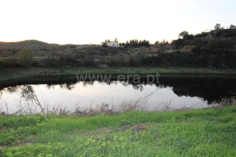 Landejendom i Ourique, Beja, Ourique - € 1.550.000 | Ref: 402250006 - foto 35