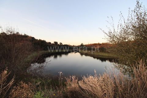 Landejendom i Ourique, Beja, Ourique - € 1.550.000 | Ref: 402250006 - foto 36