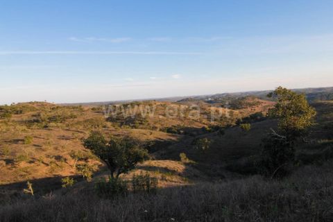 Landejendom i Ourique, Beja, Ourique - € 1.550.000 | Ref: 402250006 - foto 38