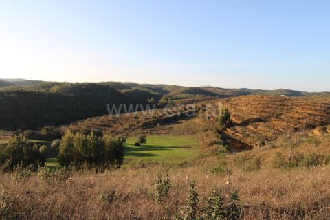 Landejendom i Ourique, Beja, Ourique - € 1.550.000 | Ref: 402250006 - foto 39