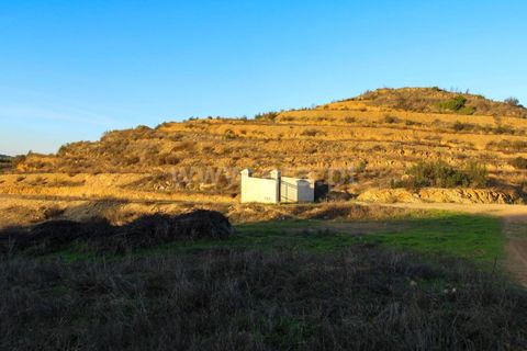 Landejendom i Ourique, Beja, Ourique - € 1.550.000 | Ref: 402250006 - foto 41