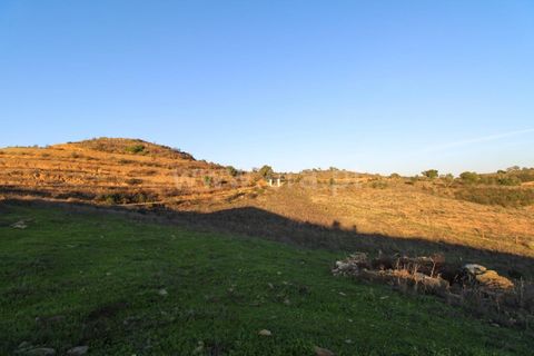 Landejendom i Ourique, Beja, Ourique - € 1.550.000 | Ref: 402250006 - foto 43