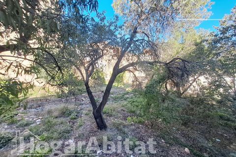 Villa a L'Alcora, Castellon, L'Alcora - € 90.000 | Ref: 119ALT90.OFPV-A/3716 - foto 33