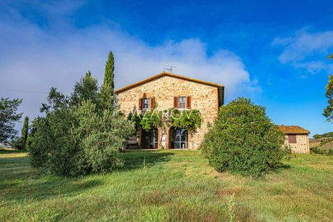 Terra a Grosseto, Grosseto, Grosseto - € 1.290.000 | Ref: 5908 - foto 2