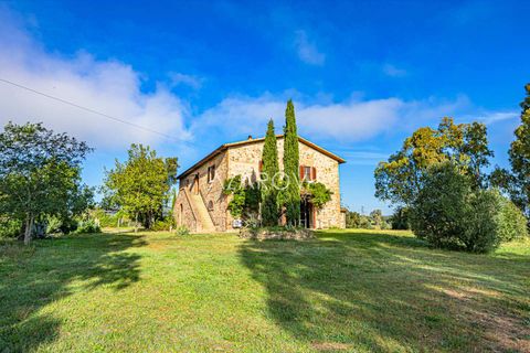 Terra a Grosseto, Grosseto, Grosseto - € 1.290.000 | Ref: 5908 - foto 7