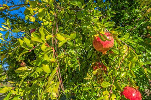 Terra a Grosseto, Grosseto, Grosseto - € 1.290.000 | Ref: 5908 - foto 19