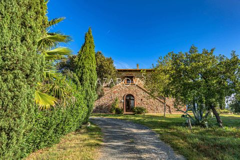 Terra a Grosseto, Grosseto, Grosseto - € 1.290.000 | Ref: 5908 - foto 23