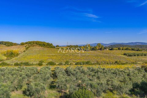 Terra a Grosseto, Grosseto, Grosseto - € 1.290.000 | Ref: 5908 - foto 31