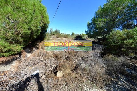 Villa i Albox, Almeria, Albox - € 200.000 | Ref: 66671 - foto 5