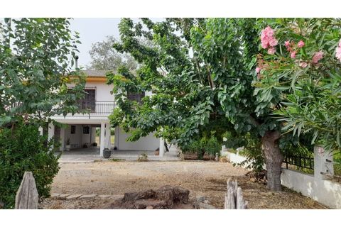 Villa i Benejuzar, Alicante, Benejuzar - € 238.000 | Ref: 6091 - foto 26