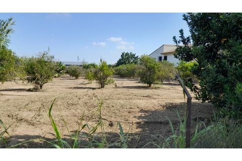 Villa i Benejuzar, Alicante, Benejuzar - € 238.000 | Ref: 6091 - foto 33