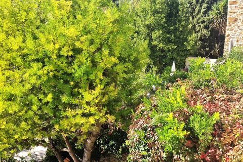 Landejendom i Laurens, Herault, Laurens - € 130.000 | Ref: LAUHEA - foto 22