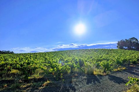 Landejendom i Laurens, Herault, Laurens - € 130.000 | Ref: LAUHEA - foto 4