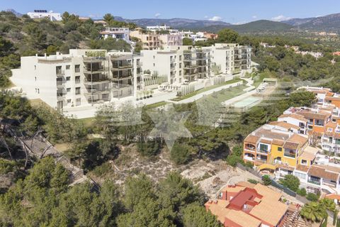 Lejlighed i Santa Ponsa, Mallorca, Santa Ponsa - € 1.864.590 | Ref: 4135 - foto 24