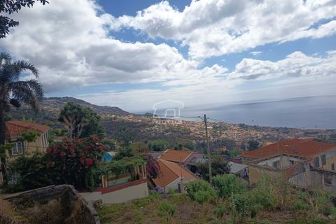 Villa i Funchal, Madeira, Funchal - € 1.500.000 | Ref: 11718-RJC - foto 3