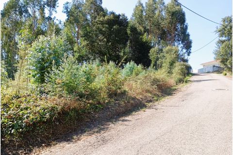 Helårsgrund i Oia, Aveiro, Oia - € 30.000 | Ref: 24006 - foto 2