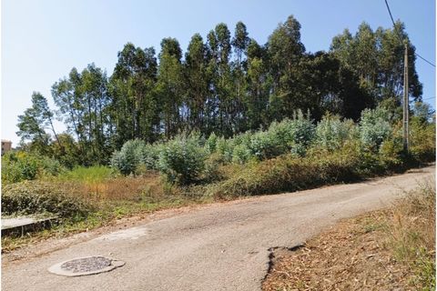 Helårsgrund i Oia, Aveiro, Oia - € 30.000 | Ref: 24006 - foto 4