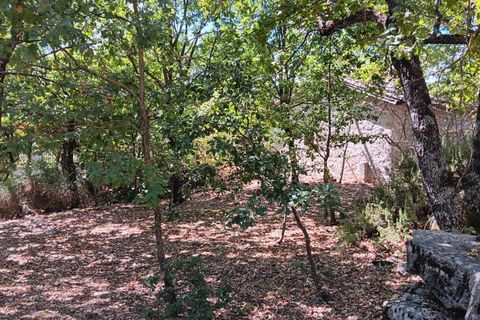 Villa a Nusco, Avellino, Nusco - € 250.000 | Ref: 498 - foto 10