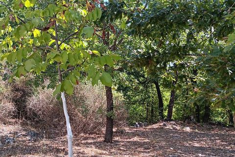Villa a Nusco, Avellino, Nusco - € 250.000 | Ref: 498 - foto 15