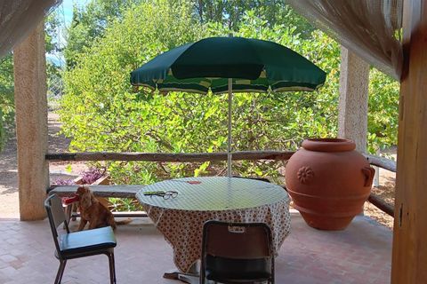 Villa a Nusco, Avellino, Nusco - € 250.000 | Ref: 498 - foto 41