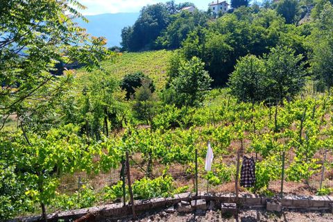 Villa i Tufo, Avellino, Tufo - € 55.000 | Ref: 941 - foto 2
