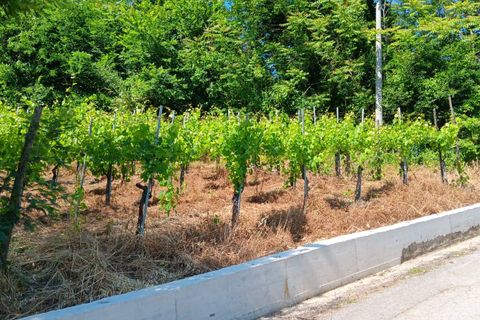 Villa i Tufo, Avellino, Tufo - € 55.000 | Ref: 941 - foto 11
