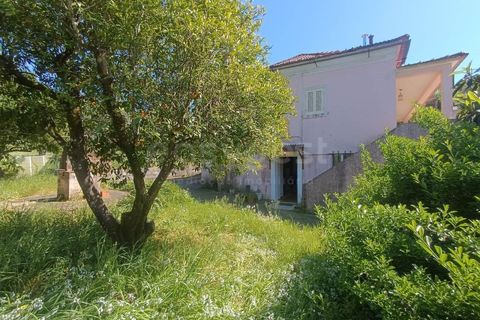 Villa i Tomar, Santarem, Tomar - € 230.000 | Ref: TM98158 - foto 3