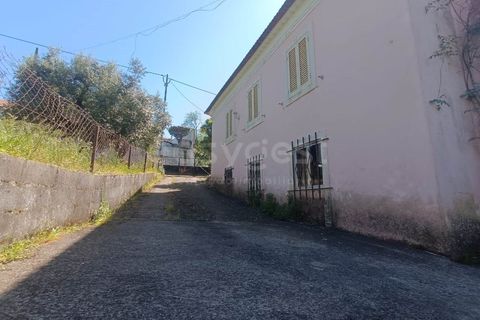 Villa i Tomar, Santarem, Tomar - € 230.000 | Ref: TM98158 - foto 7