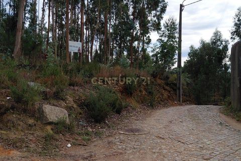Helårsgrund i Foz do Sousa e Covelo, Porto, Foz do Sousa e Covelo - € 23.800 | Ref: C0272-02518 - foto 7