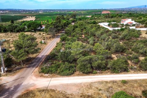 Helårsgrund i Algoz, Faro, Algoz - € 250.000 | Ref: LH072 - foto 5