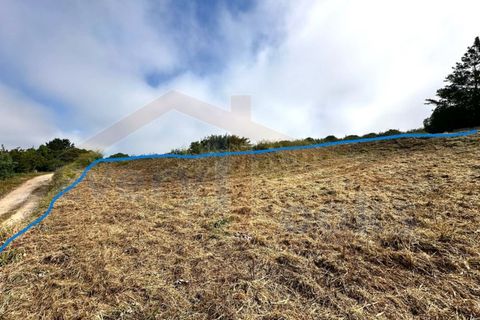 Helårsgrund i Obidos, Leiria, Obidos - € 65.000 | Ref: EL2025515 - foto 19