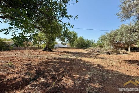 Villa i Almancil, Faro, Almancil - € 590.000 | Ref: xtp_0333 - foto 4