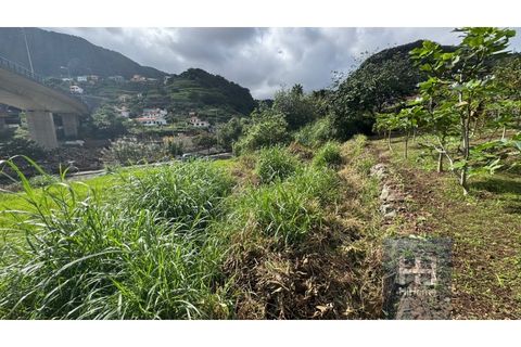 Helårsgrund i Machico, Madeira, Machico - € 95.000 | Ref: HH_2646MD25 - foto 10