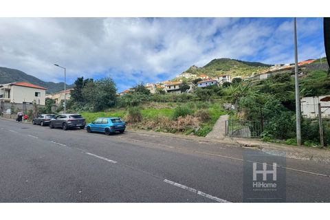 Helårsgrund i Machico, Madeira, Machico - € 95.000 | Ref: HH_2646MD25 - foto 13