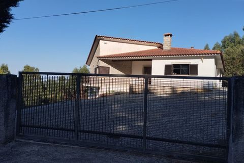 Farm i Talhadas, Aveiro, Talhadas - € 600.000 | Ref: 539 - foto 5